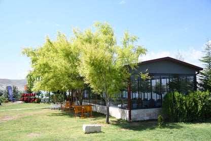 Джип-сафари по Каппадокии с трансфером туда и обратно и вечеринкой с шампанским