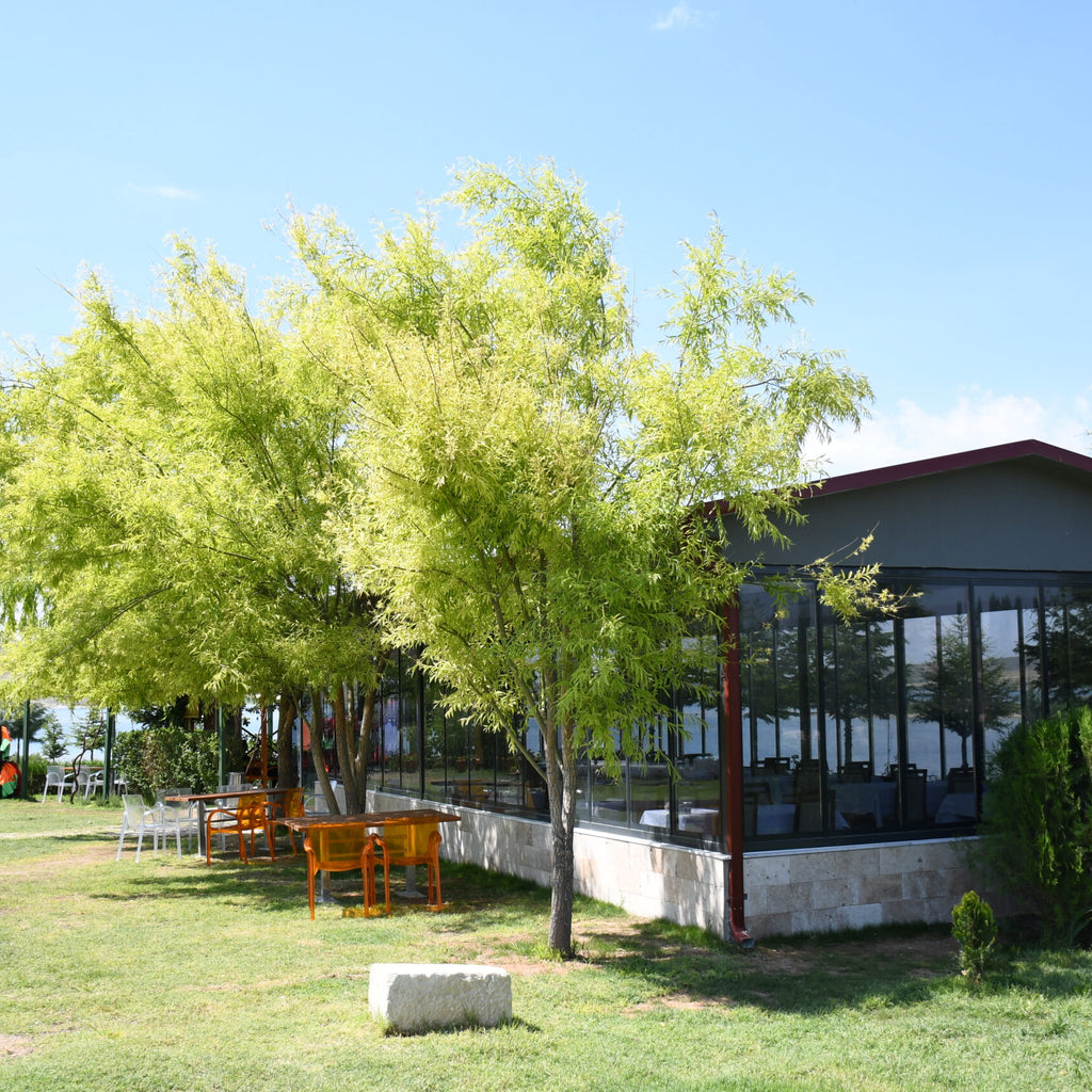 Джип-сафари по Каппадокии с трансфером туда и обратно и вечеринкой с шампанским