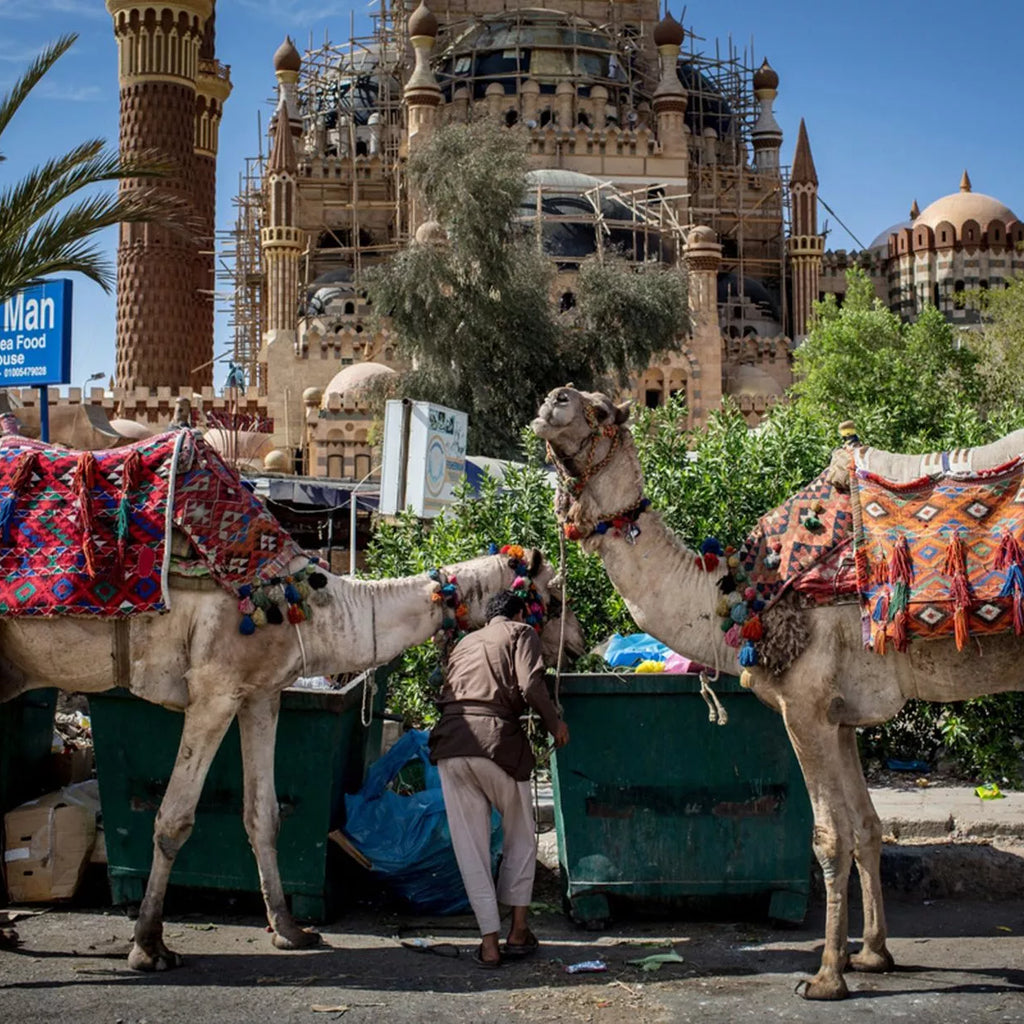 Sharm El Sheikh guidet sightseeingtur i byen