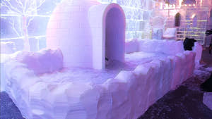 Dubai Chillout Ice Sculptures