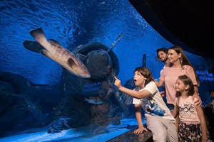 Antalya Aquarium Tour with Entrance & Roundtrip Transfer