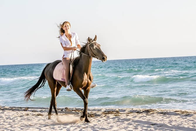 Side Reitausflug – Wald- & Strandritt mit Reitlehrer