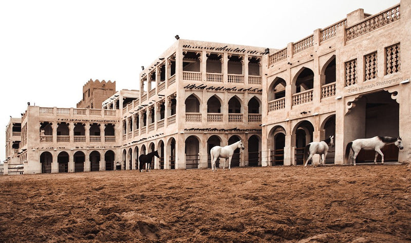 Doha Şehir Turu