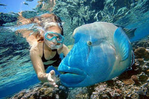 Sharm El Naga Snorkeling with Lunch & Transfers from Hurghada