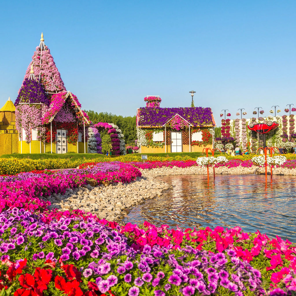 Dubai Miracle Garden