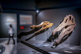 Natural History Museum at the Dubai Crocodile Park