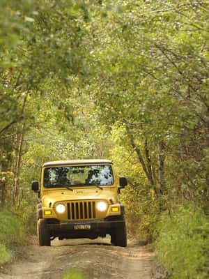 Кемер Джип-сафари с внедорожником, обедом и трансфером