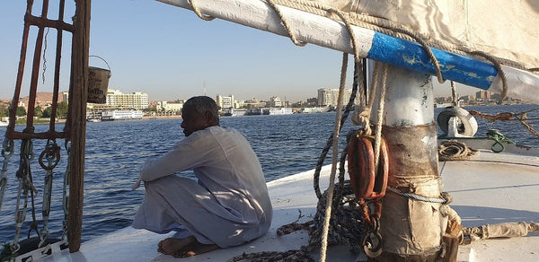 Aswan Private tour to Botanical garden with Felucca ride Nile River