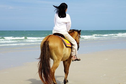 Side Horseback Riding Experience in the Forest & on The Beach with Instructor & Roundtrip Transfer