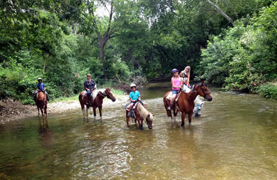 Gidiş-Dönüş Transfer ile Fethiye At Binme Deneyimi