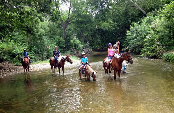 Fethiye Horse Riding Experince with Roundtrip Transfer