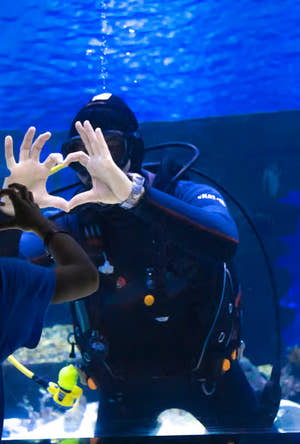 Antalya Aquarium Tour