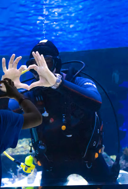 Antalya Aquarium Tour with Entrance & Roundtrip Transfer