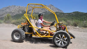 Mand kører buggy