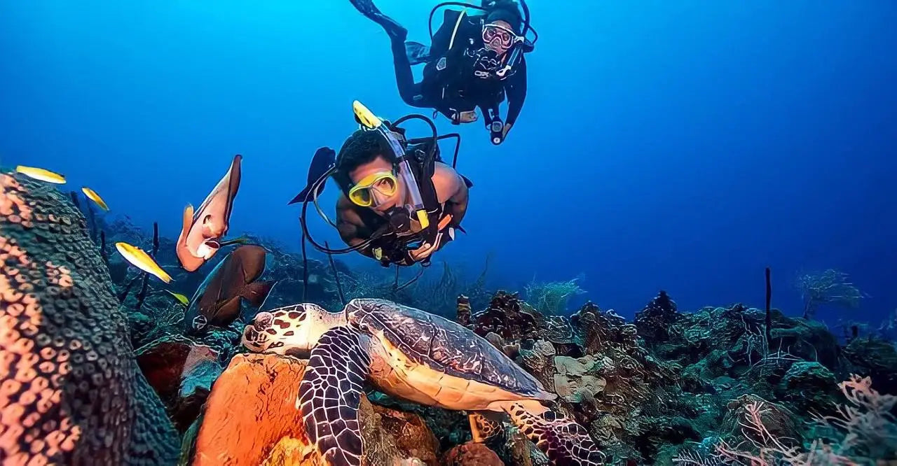 Kaş Scuba Diving Tour - Tripventura