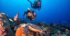 Kas Scuba Diving Tour with Roundtrip Transfer