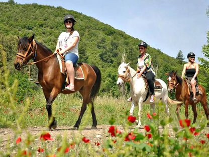 Kemer Horseback Riding Tour with Roundtrip Transfer