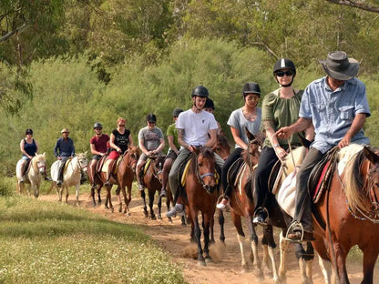 Kemer Horseback Riding Tour with Roundtrip Transfer