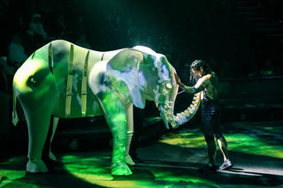 Dragone Show'dan La Perle