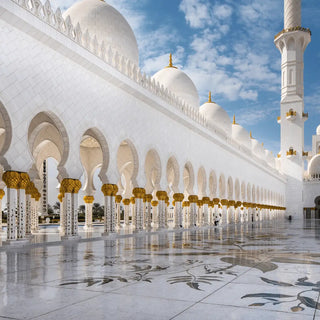 Abu Dhabi City Tour with Louvre Museum from Dubai - Tripventura