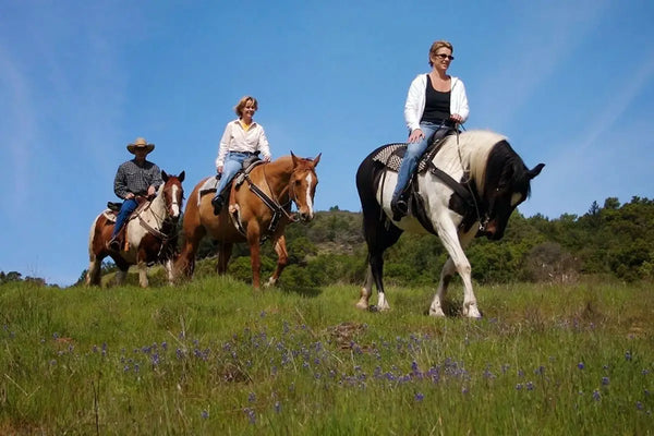 Fethiye Horse Riding Tour - Tripventura