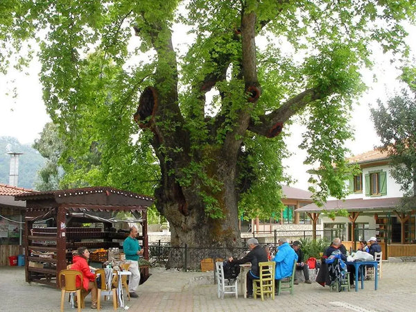 Экскурсия по деревне Мармарис с пляжем Иисуса и водопадами — Tripventura
