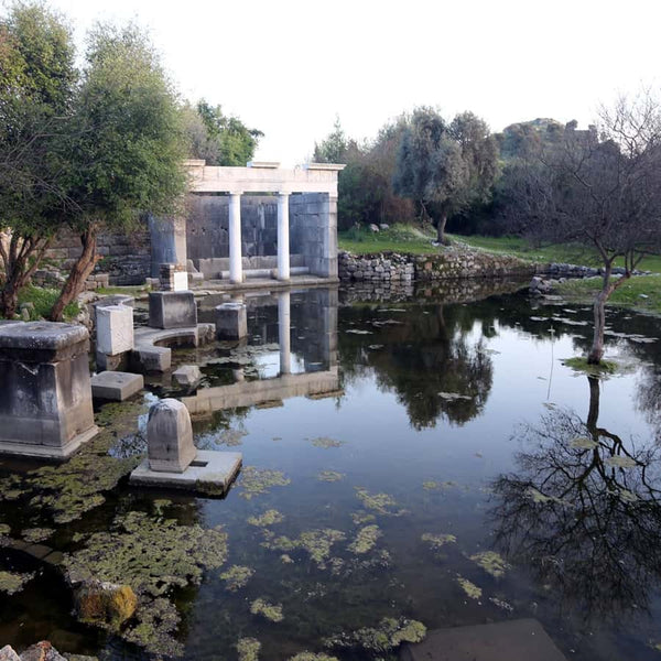 Fethiye Dalyan Cruise, Turtle Beach & Mud Baths with Lunch & Roundtrip Transfer