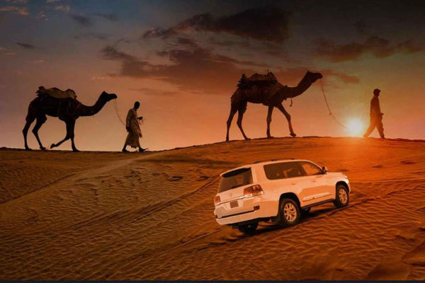 Dubai Morning Desert Safari with Private 4x4 Car
