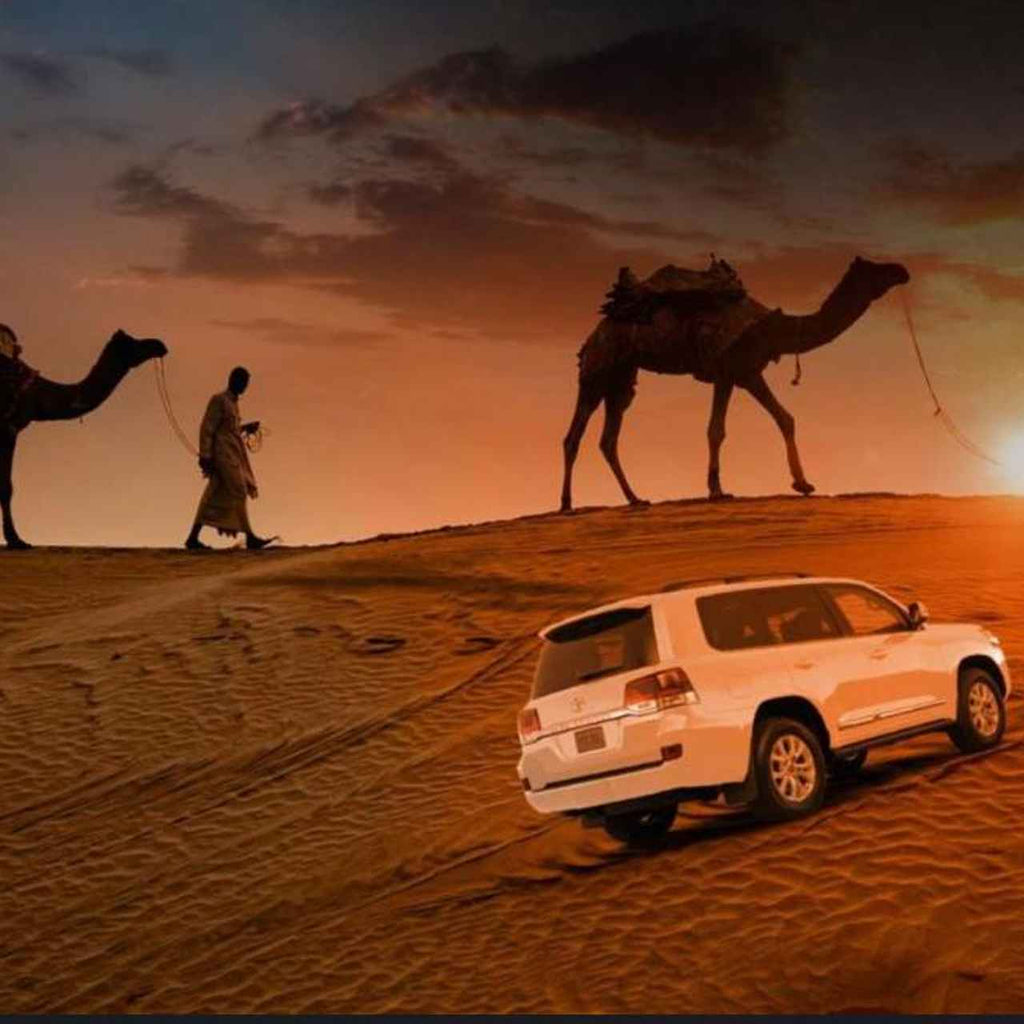 Dubai Morning Desert Safari with Private 4x4 Car
