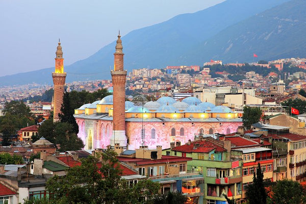 Daily Green Bursa Tour with Cable Car Ride, Lunch & Transfer from Istanbul