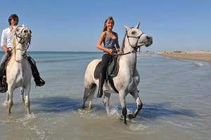 Sharm El Sheikh Horse Riding