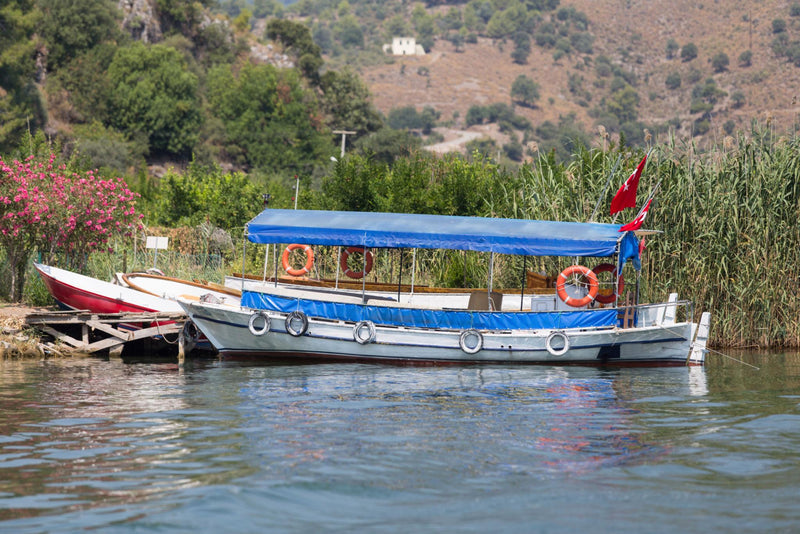 Fethiye Dalyan Cruise, Turtle Beach & Mud Baths