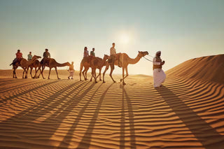 People riding camels