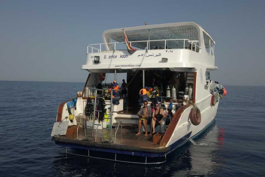 Hurghada Tekneyle Şnorkelli Dalış Turu