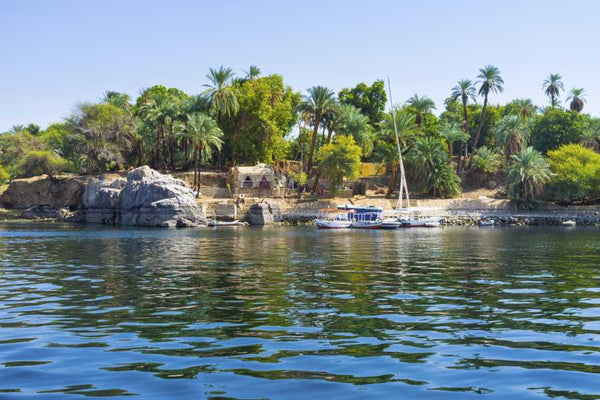 Aswan Private tour to Botanical garden with Felucca ride Nile River