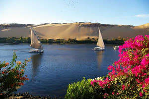 Aswan Private tour to Botanical garden with Felucca ride Nile River