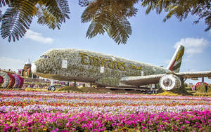 Fly dekoreret med blomster i Dubai Miracle Garden