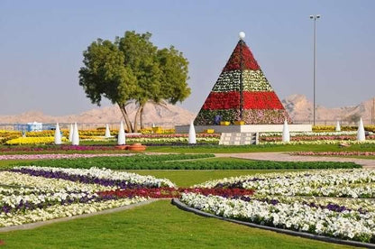 Al Ain City Guided Tour From Dubai