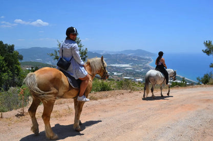 Side Horseback Riding Experience in the Forest & on The Beach with Instructor & Roundtrip Transfer