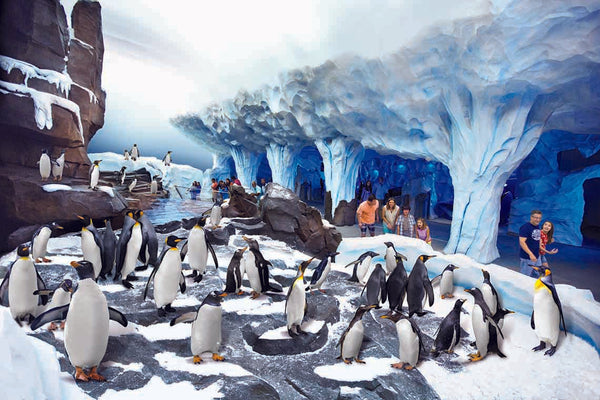 Empire of the Penguin