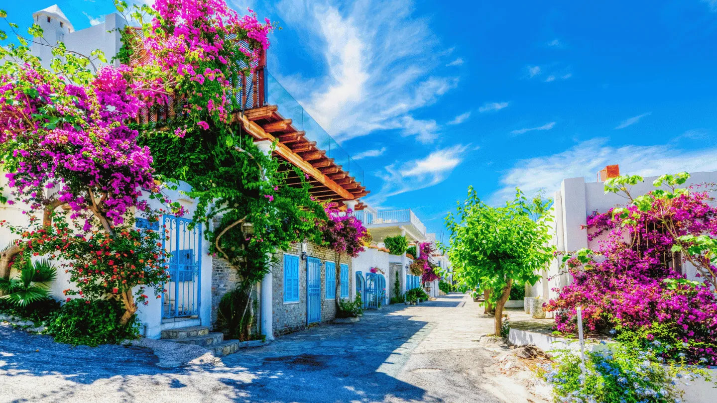 Stroll Through Bodrum's Blooming White Streets