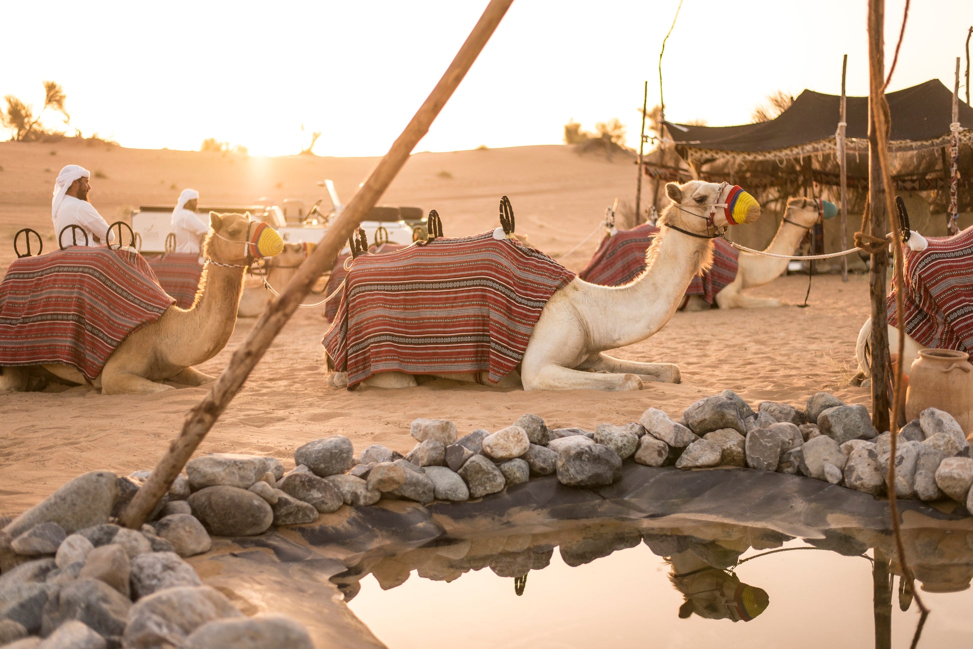 Dubai Morning Heritage Bedouin Culture Safari