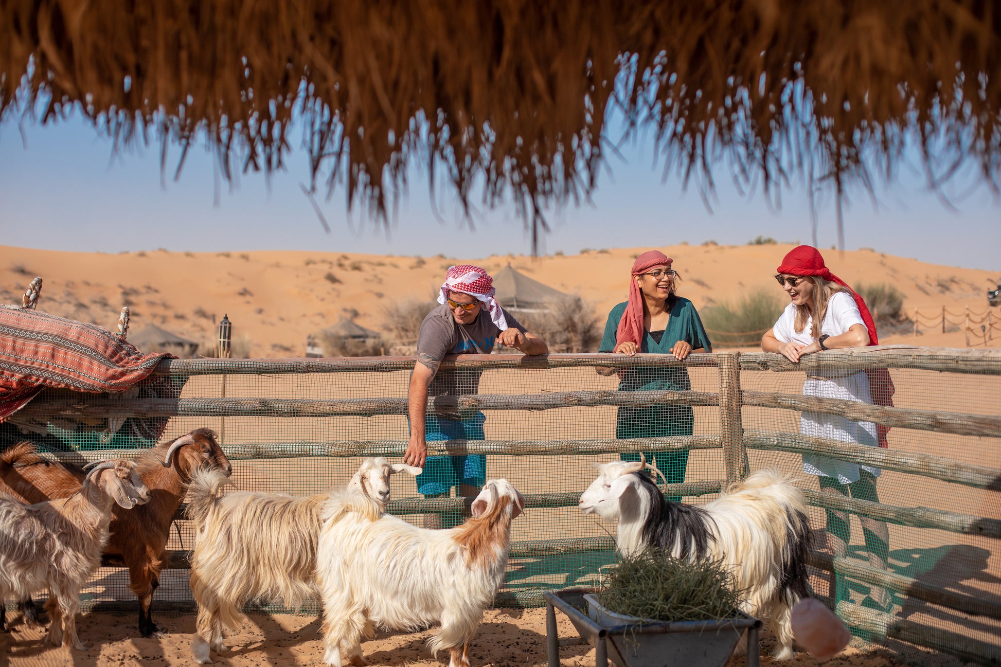 Dubai Morning Heritage Bedouin Culture Safari