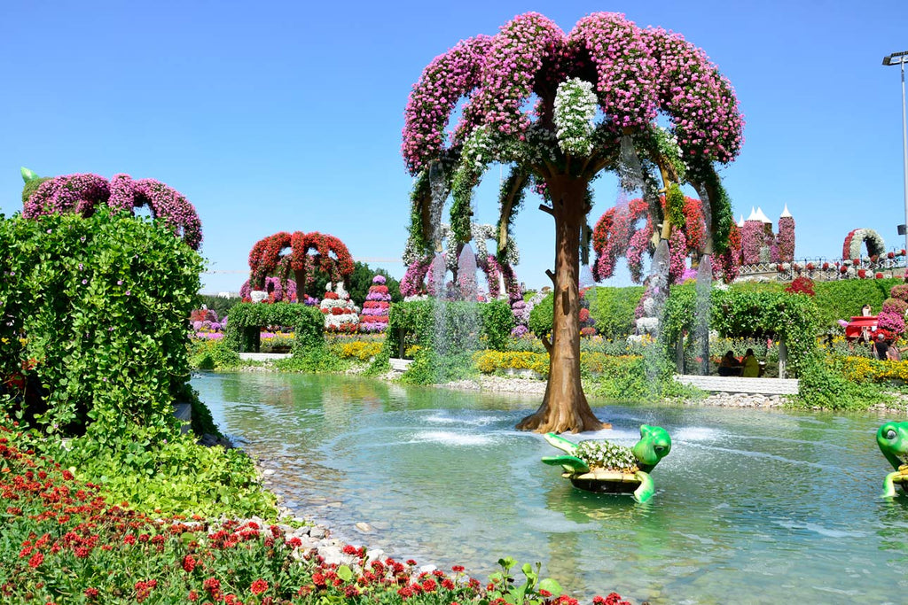 Oasis with trees surrounded by flowers
