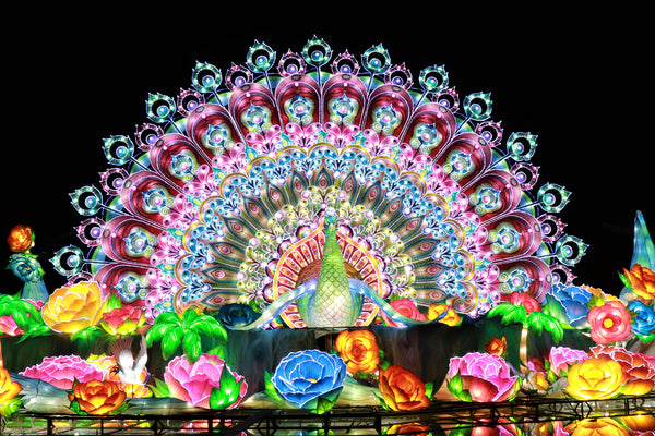 canlı tavus kuşu temalı ışık