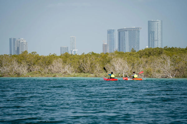 People Mangrove Kayaking In Reem Island Abu Dhabi