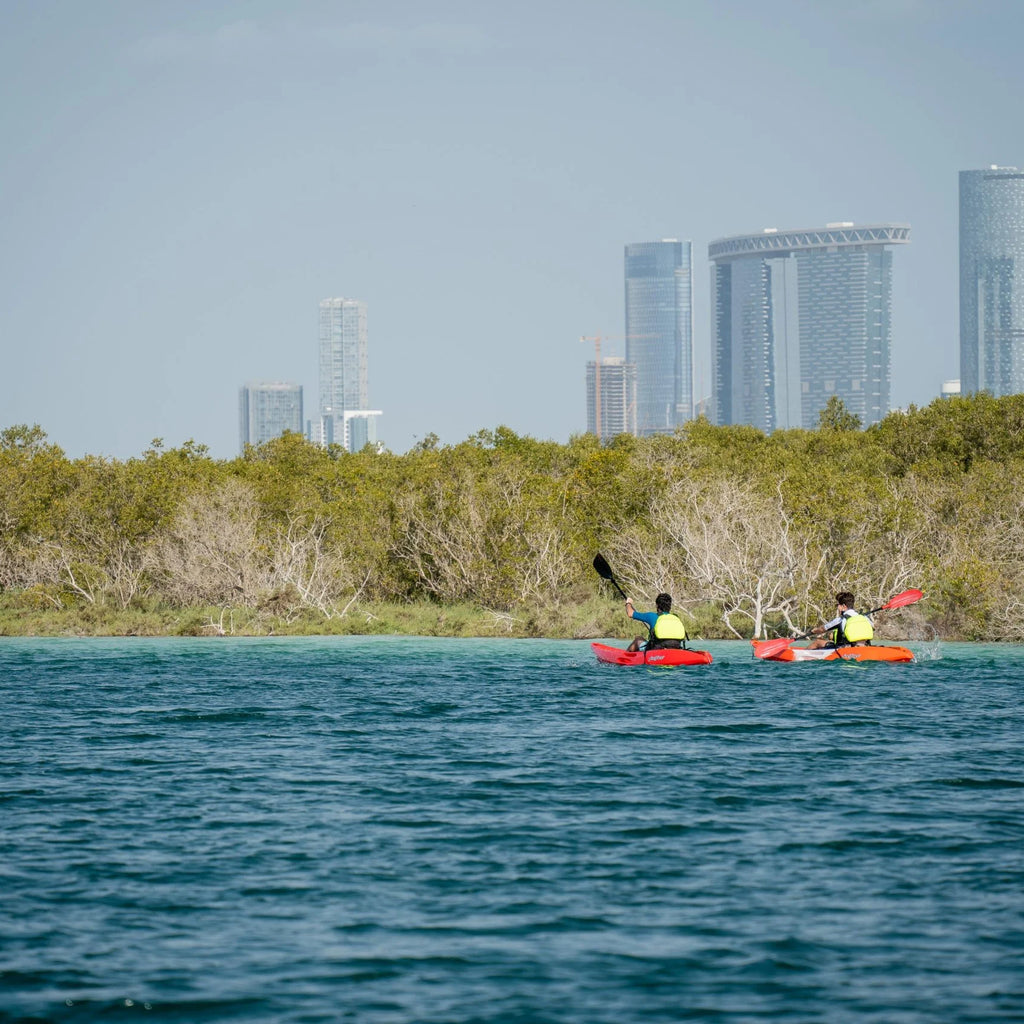 People Mangrove Kayaking In Reem Island Abu Dhabi