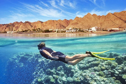 Sharm El Sheikh Dahab Full-day Blue Hole, Camel Ride, and Lunch