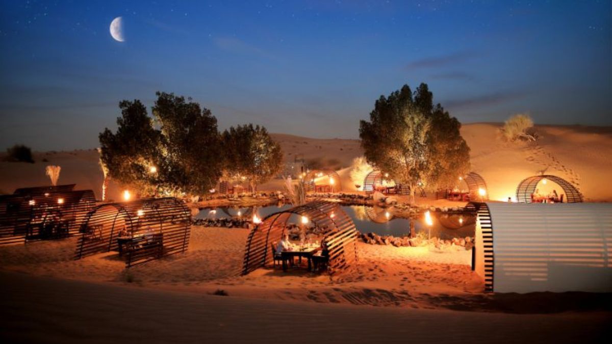 Night Safari Under the Stars