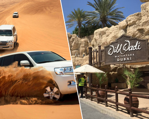 Wild Wadi Water Park w Dubaju z Desert Safari